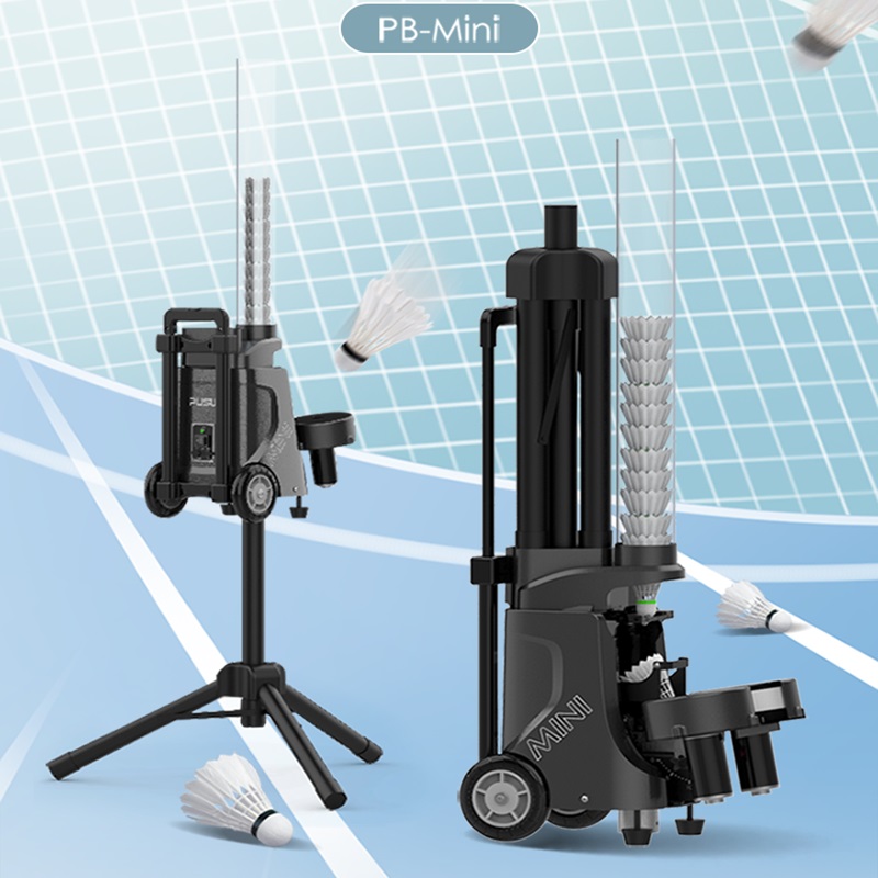 Draagbare Mini Badminton Train - Badminton Ina recensie en prijs